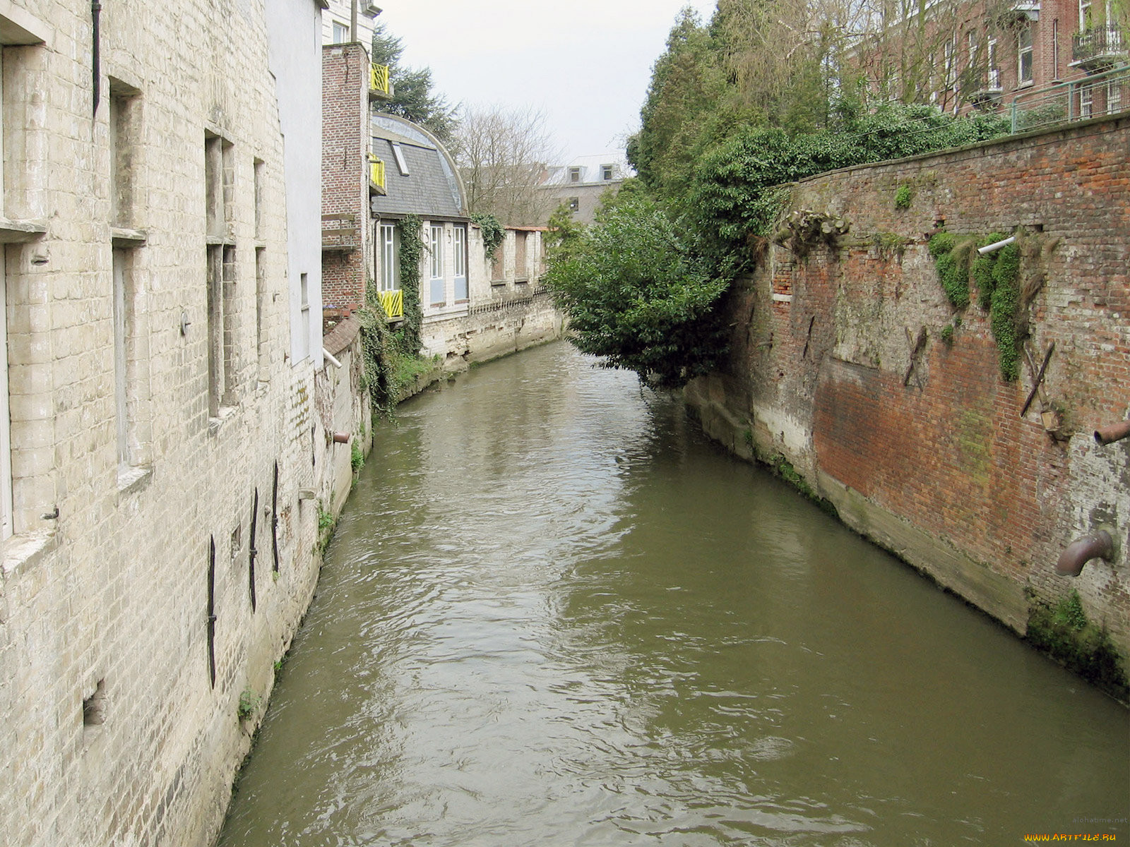 belgium, leuven, , 